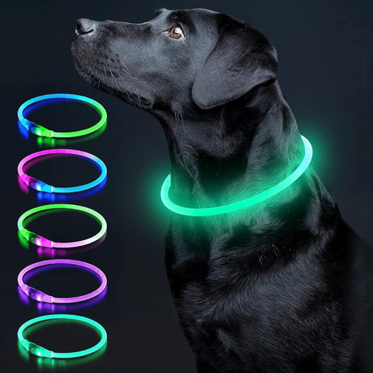 LED Dog Collar Light up Dog Collars 1 Count USB Rechargeable TPU Glow Safety Basic Dog Collars for Large Medium Small Dogs (Cyan) - FureverPawPrint