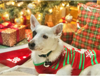 Dog Snow Sweaters Snowman Sweaters Xmas Dog Holiday Sweaters New Year Christmas Sweater Pet Clothes for Small Dog and Cat - FureverPawPrint