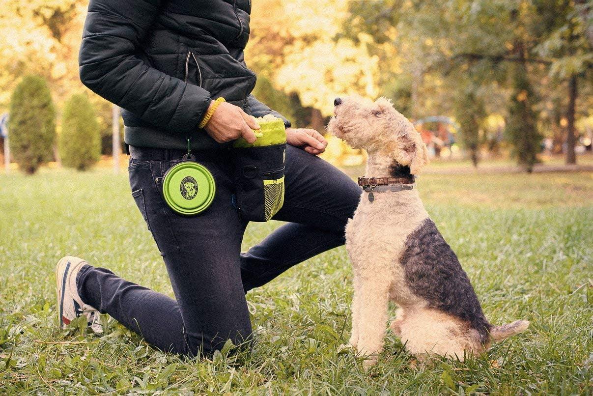 Dog Treat Bag, Training Pouch for Small and Large Dogs with Clicker and Collapsible Food Bowl BPA Free – Pet Treats Tote Bag with Waist and Shoulder Reflective Straps and Belt Clip - FureverPawPrint