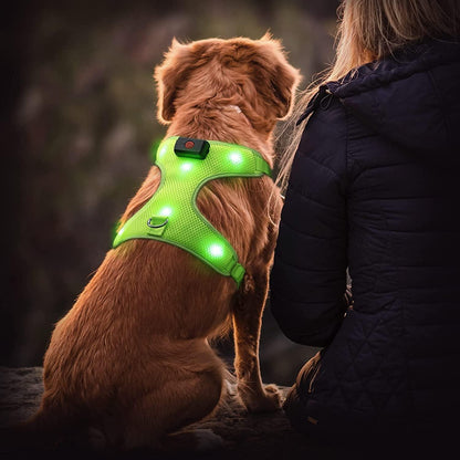 LED Dog Harness, Lighted up USB Rechargeable Pet Harness, Illuminated Reflective Glowing Dog Vest Adjustable Soft Padded No-Pull Suit for Small, Medium, Large Dogs (Green, S) - FureverPawPrint