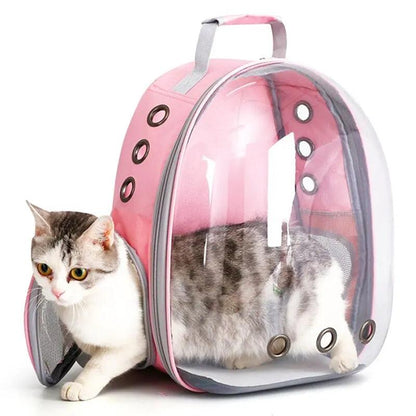 Cat Pet Carrier Backpack Transparent Capsule Bubble Pet Backpack Small Animal Puppy Kitty Bird Breathable Pet Carrier for Travel - FureverPawPrint