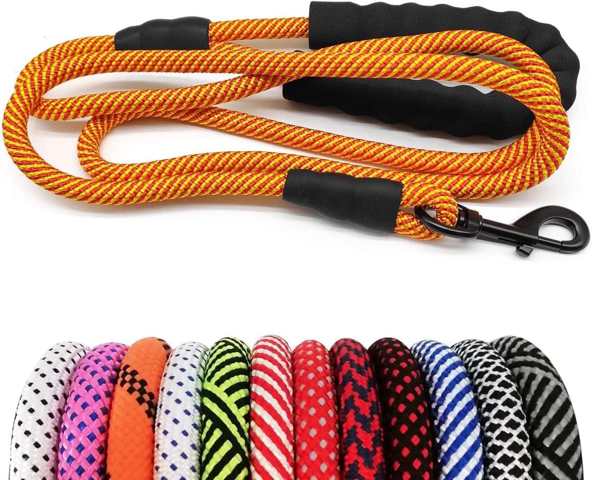 Durable Nylon Dog Leash with Soft Padded Handle - Multiple Lengths for All Dog Sizes - FureverPawPrint