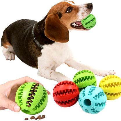 Interactive Chew Toy Ball for Dogs - Fun Treat Feeder & Tooth Cleaning Rubber Ball for Puppy Training - FureverPawPrint