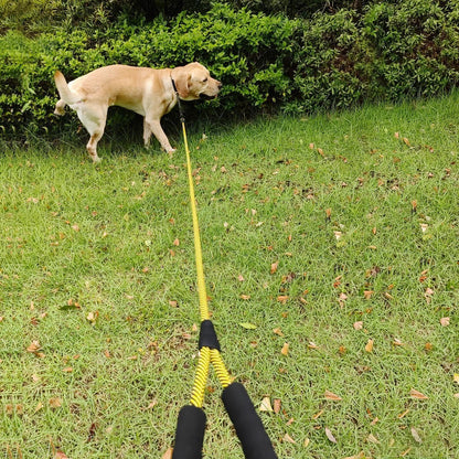 Durable Nylon Dog Leash with Soft Padded Handle - Multiple Lengths for All Dog Sizes - FureverPawPrint