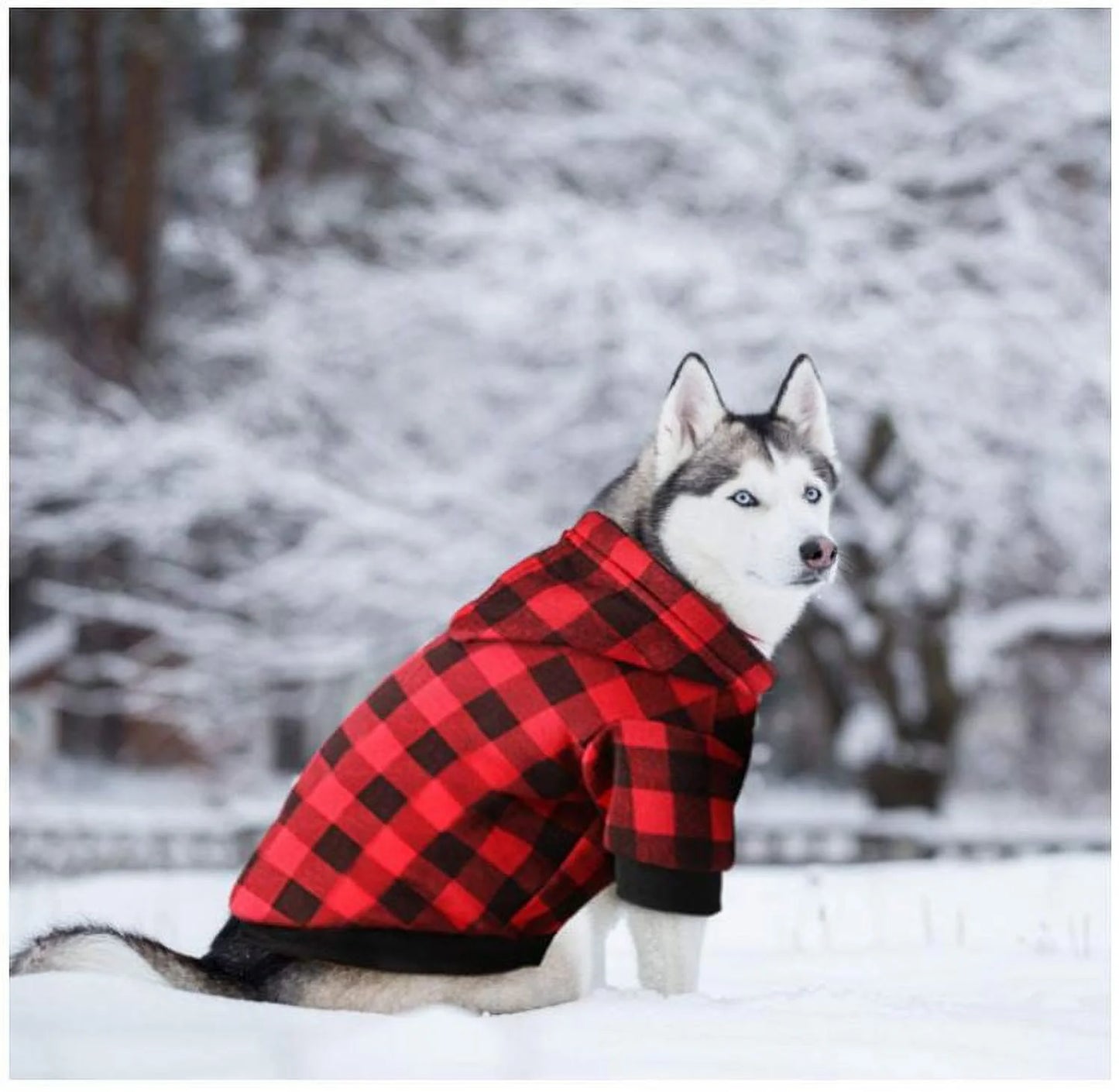 Cozy Up Your Tiny Pup with Our Adorable Dog Hoodie! 🐾💕 Perfect for Extra Small Dogs & Cats! - FureverPawPrint