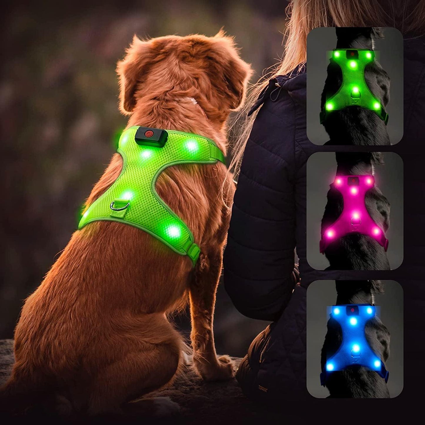 LED Dog Harness, Lighted up USB Rechargeable Pet Harness, Illuminated Reflective Glowing Dog Vest Adjustable Soft Padded No-Pull Suit for Small, Medium, Large Dogs (Green, S) - FureverPawPrint