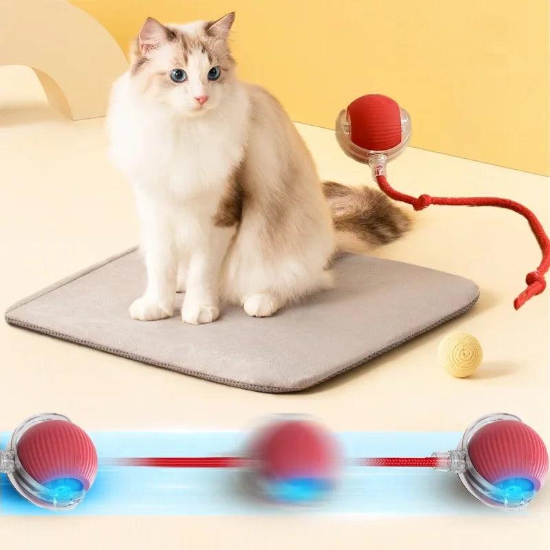 Smart Rechargeable Interactive Rolling Ball Toy for Cats - Auto Electric Teaser for Endless Fun! - FureverPawPrint