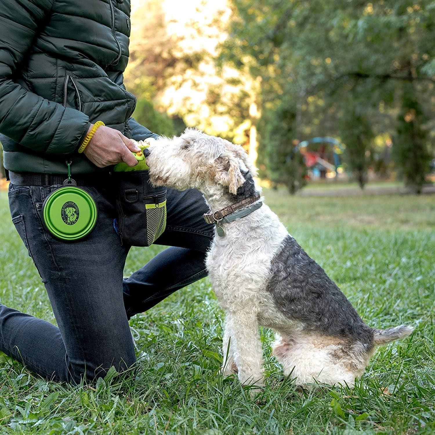 Dog Treat Bag, Training Pouch for Small and Large Dogs with Clicker and Collapsible Food Bowl BPA Free – Pet Treats Tote Bag with Waist and Shoulder Reflective Straps and Belt Clip - FureverPawPrint