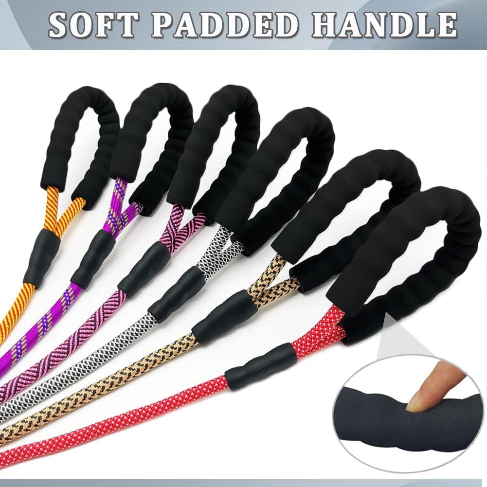 Durable Nylon Dog Leash with Soft Padded Handle - Multiple Lengths for All Dog Sizes - FureverPawPrint