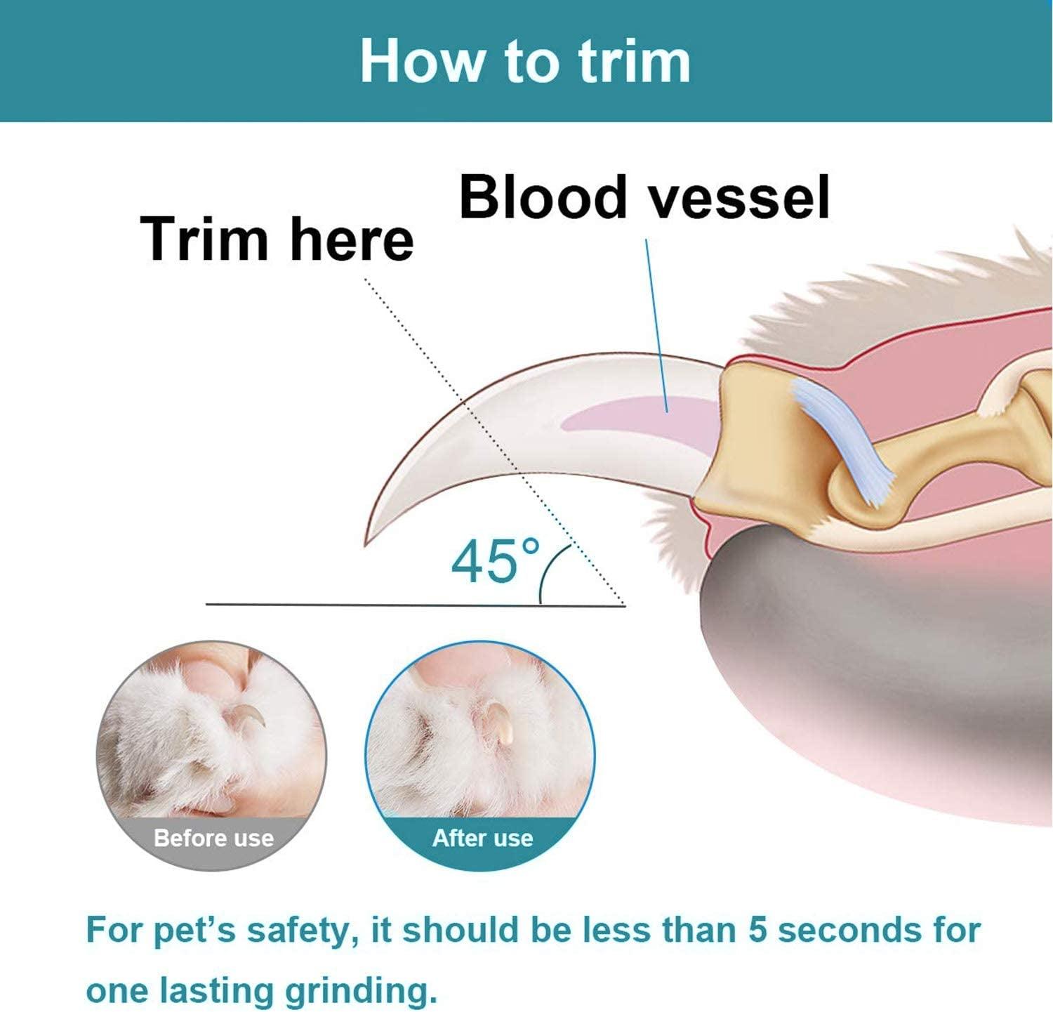 Pet Nail Grinder with LED Light & 2 Grinding Heads, 2-Speed Low Noise & More Powerful Dog Nail Grinder, Pet Nail Trimmer File, Painless Paw Claw Care, Quiet Toenail Grooming Tool for L/M/S Dogs/Cats - FureverPawPrint